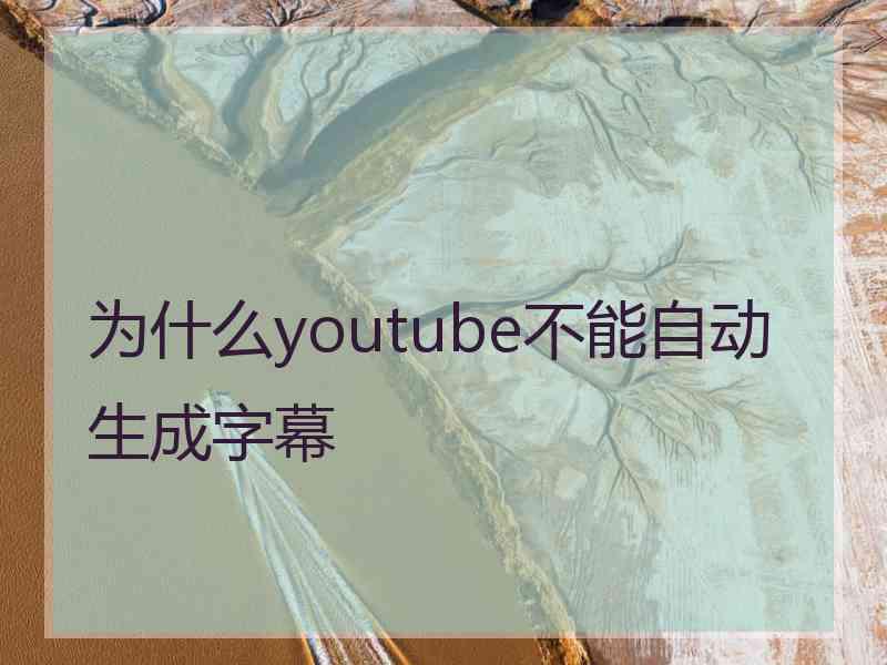 为什么youtube不能自动生成字幕