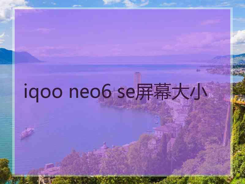 iqoo neo6 se屏幕大小