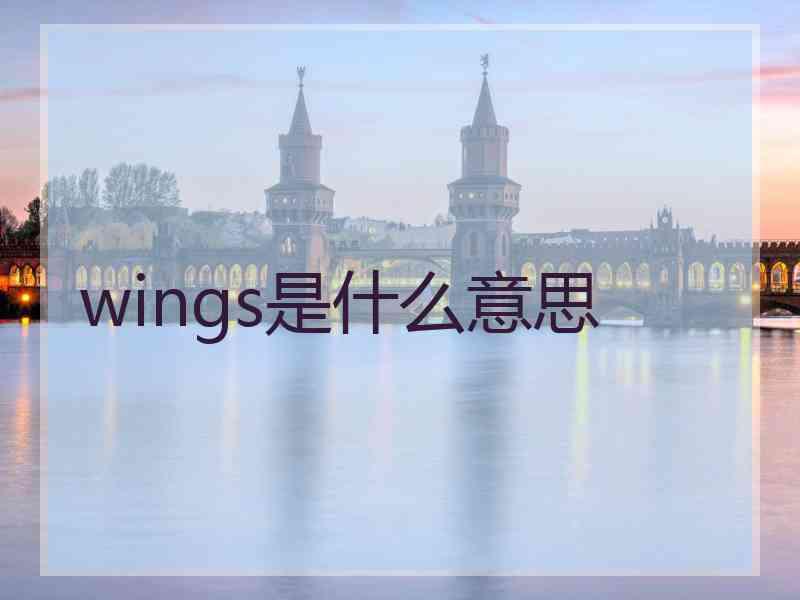 wings是什么意思