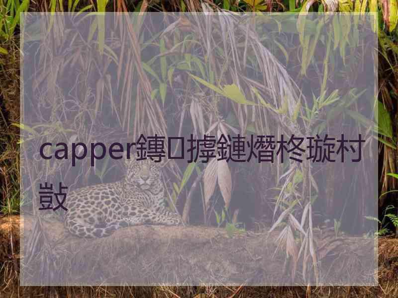 capper鏄摢鏈熸柊璇村敱