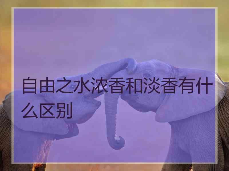 自由之水浓香和淡香有什么区别