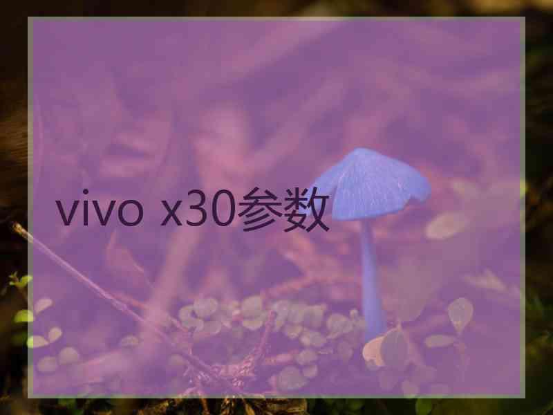 vivo x30参数