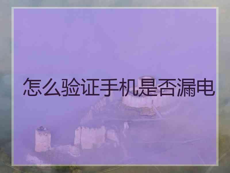 怎么验证手机是否漏电