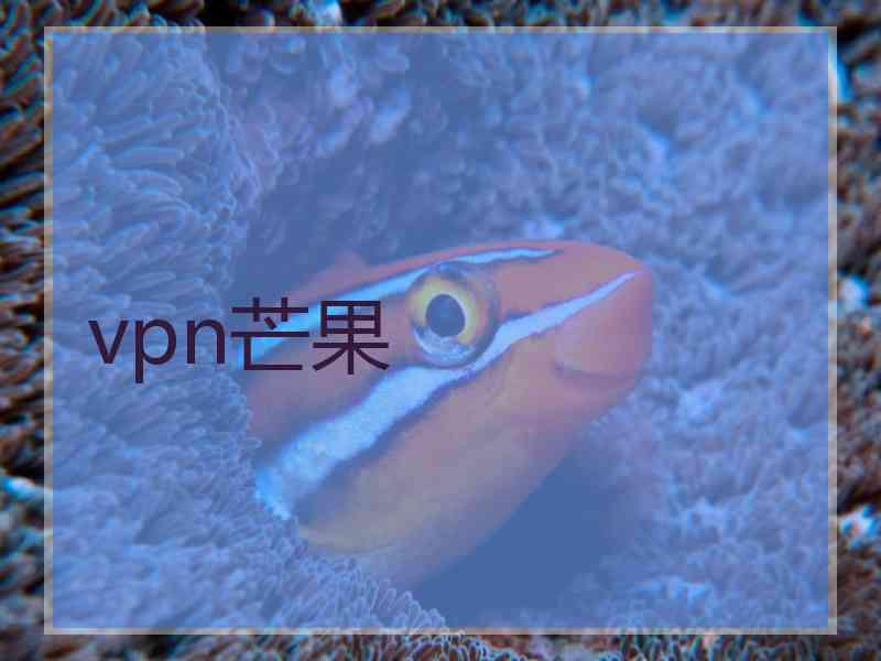 vpn芒果