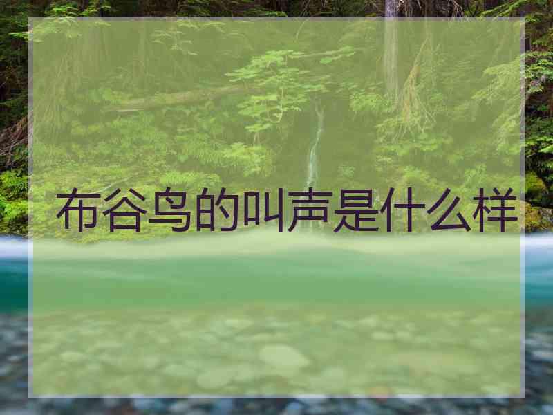 布谷鸟的叫声是什么样