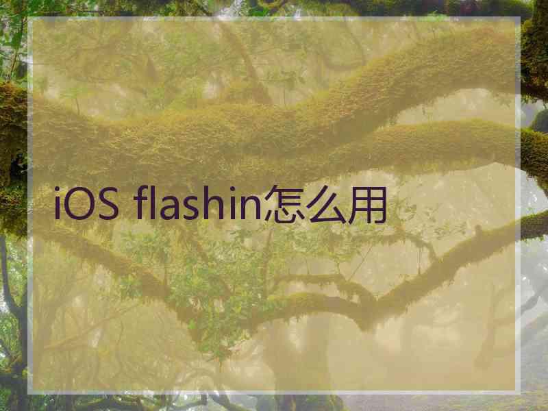 iOS flashin怎么用