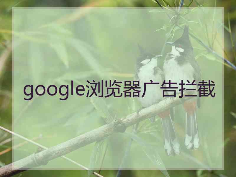 google浏览器广告拦截