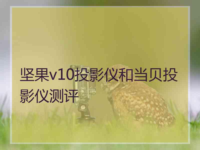 坚果v10投影仪和当贝投影仪测评