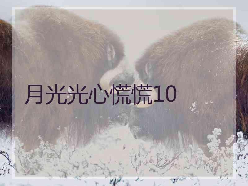 月光光心慌慌10