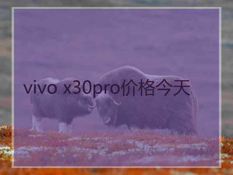 vivo x30pro价格今天