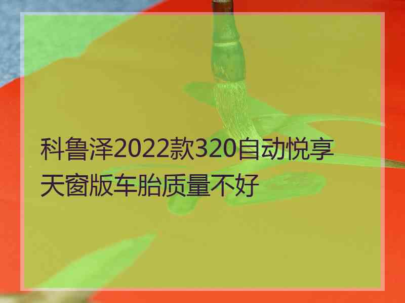 科鲁泽2022款320自动悦享天窗版车胎质量不好