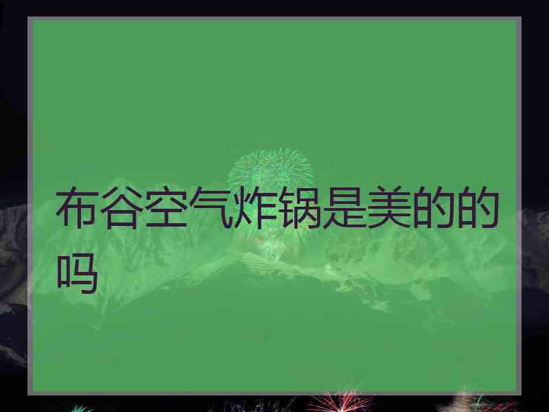 布谷空气炸锅是美的的吗