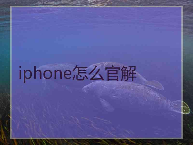 iphone怎么官解