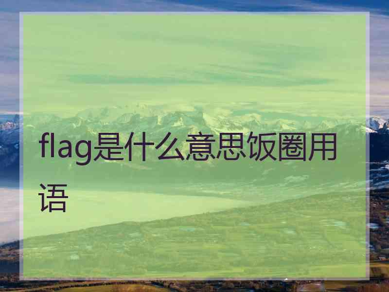 flag是什么意思饭圈用语