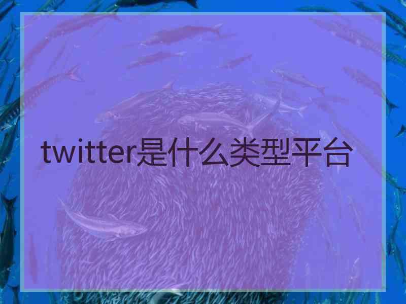 twitter是什么类型平台