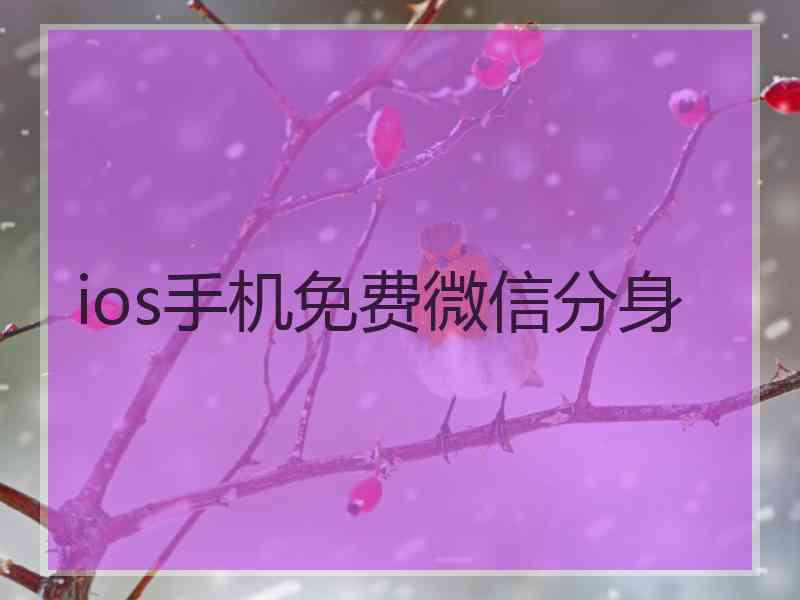 ios手机免费微信分身