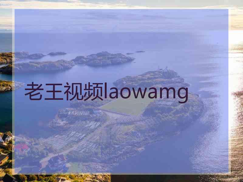 老王视频laowamg