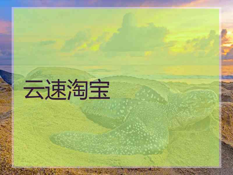 云速淘宝