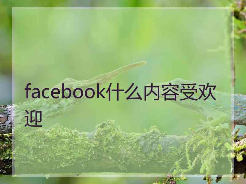 facebook什么内容受欢迎