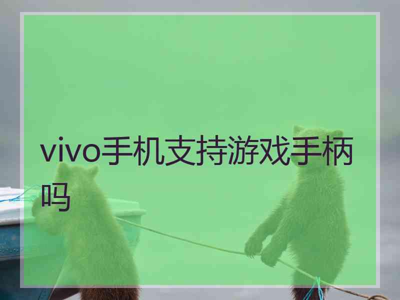 vivo手机支持游戏手柄吗