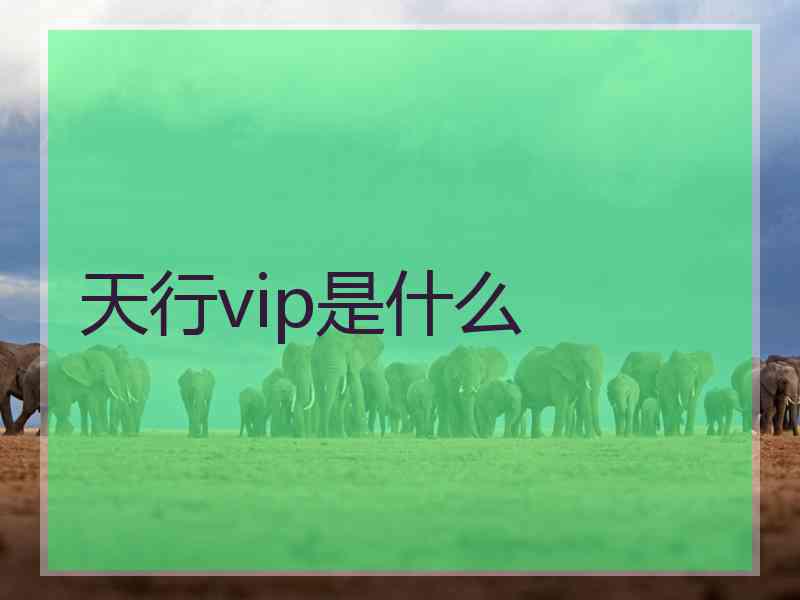 天行vip是什么