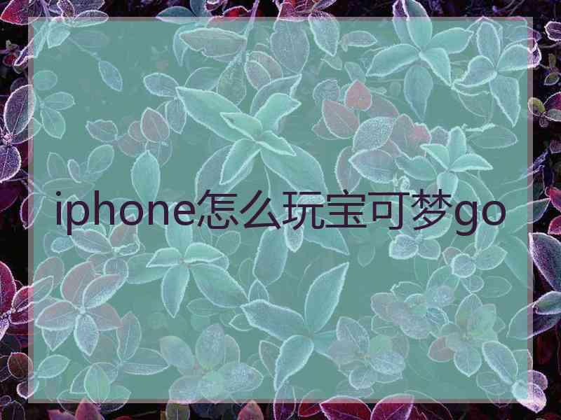 iphone怎么玩宝可梦go