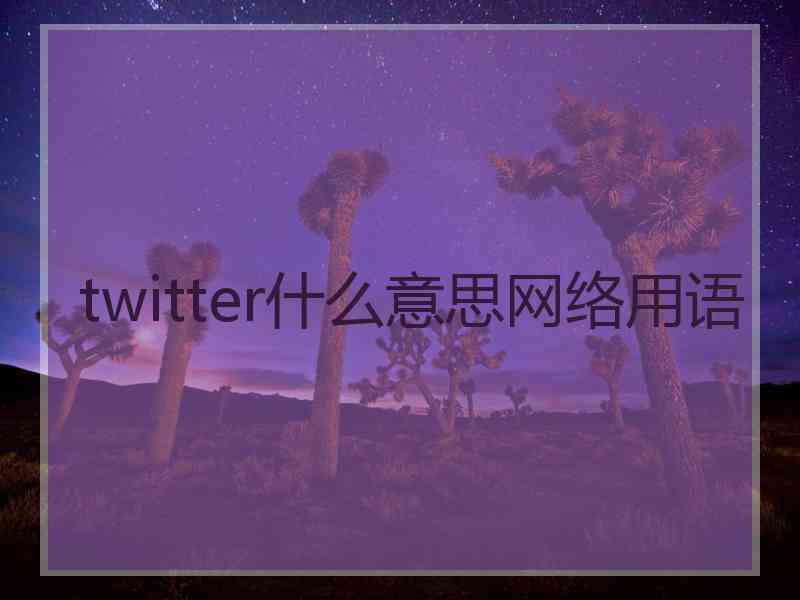 twitter什么意思网络用语