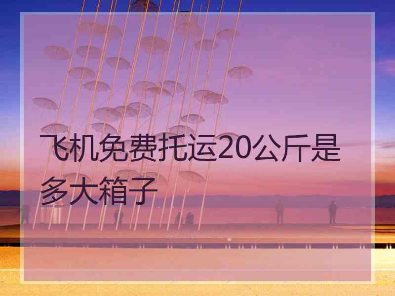 飞机免费托运20公斤是多大箱子