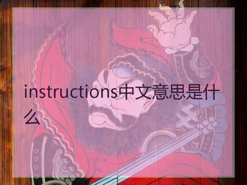 instructions中文意思是什么