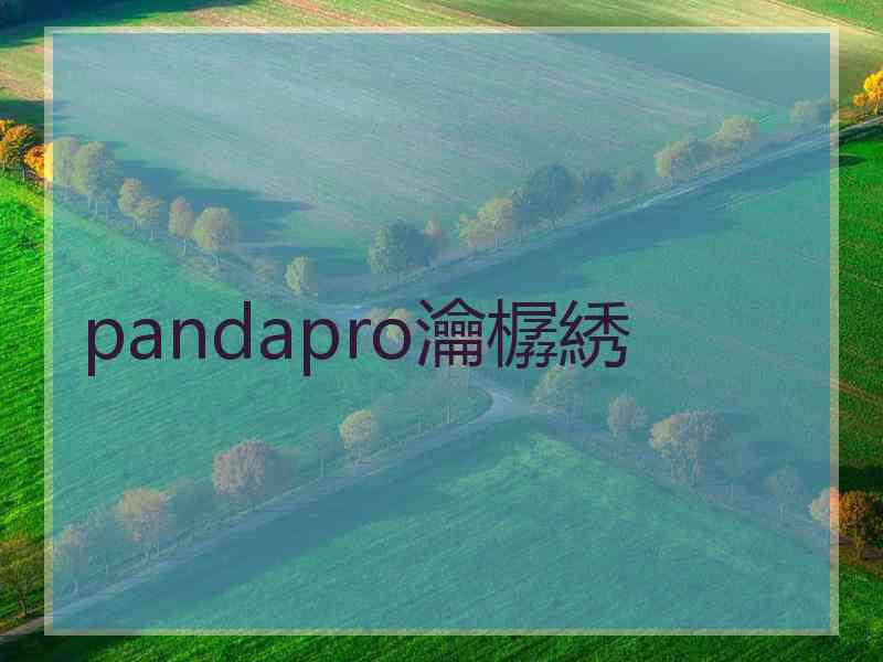 pandapro瀹樼綉