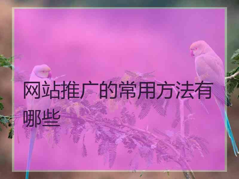 网站推广的常用方法有哪些