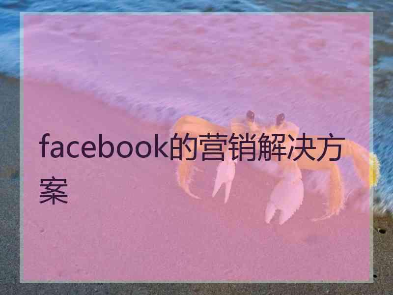 facebook的营销解决方案