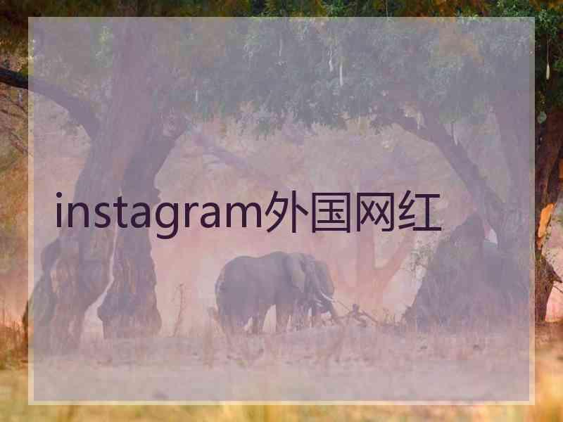 instagram外国网红