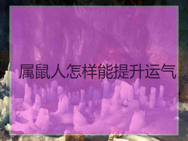 属鼠人怎样能提升运气