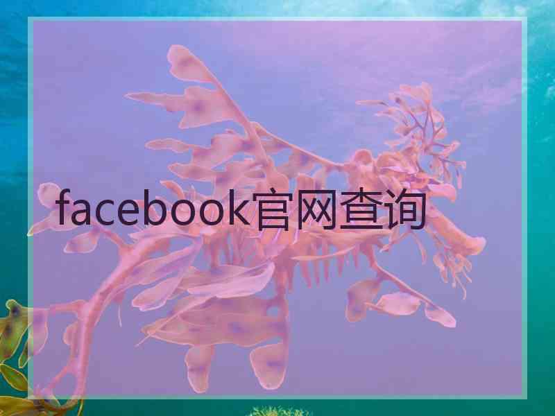 facebook官网查询