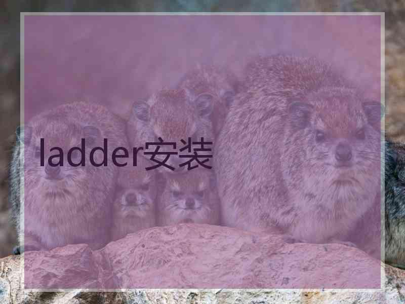 ladder安装