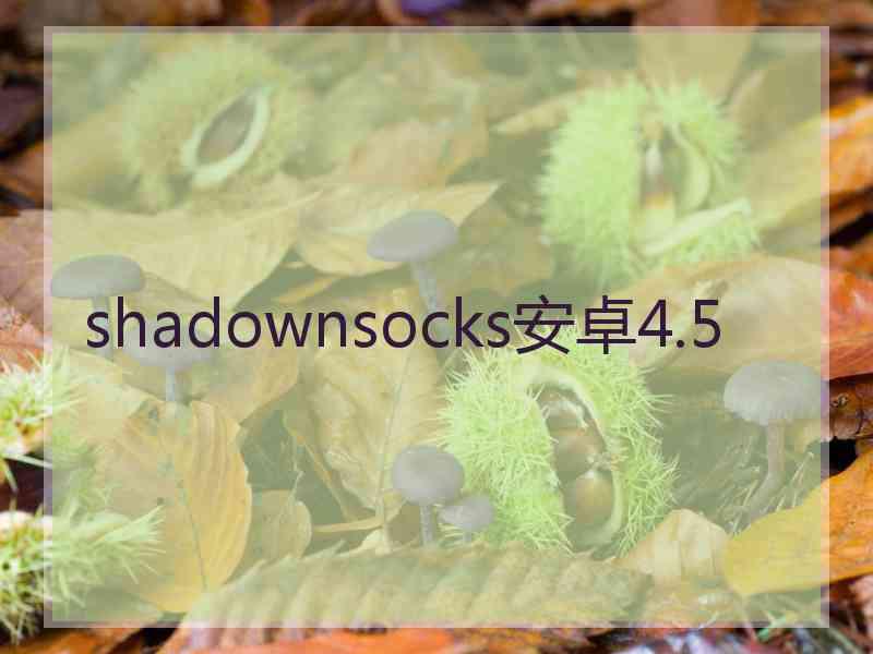 shadownsocks安卓4.5