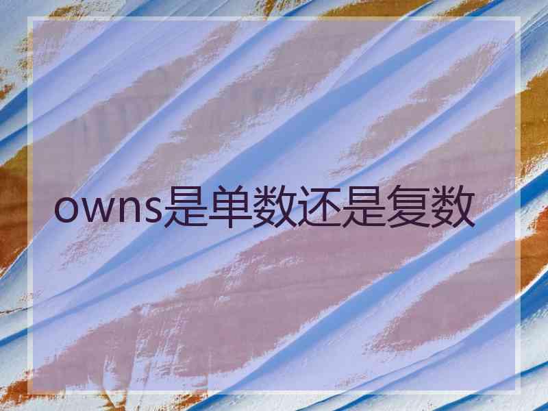 owns是单数还是复数