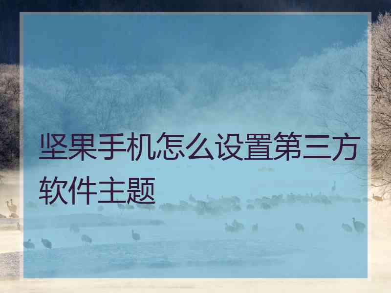 坚果手机怎么设置第三方软件主题