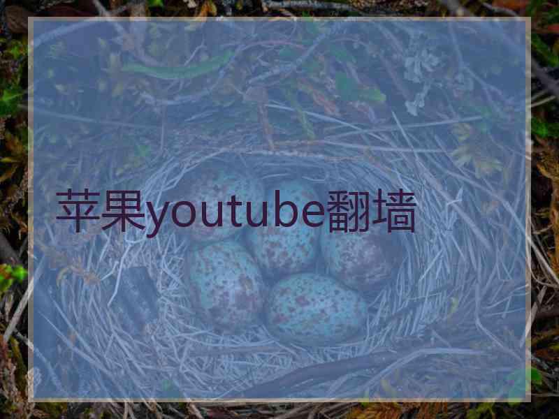 苹果youtube翻墙