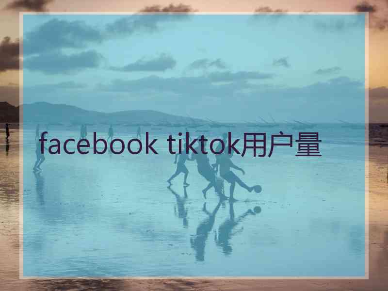 facebook tiktok用户量