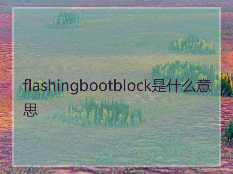 flashingbootblock是什么意思