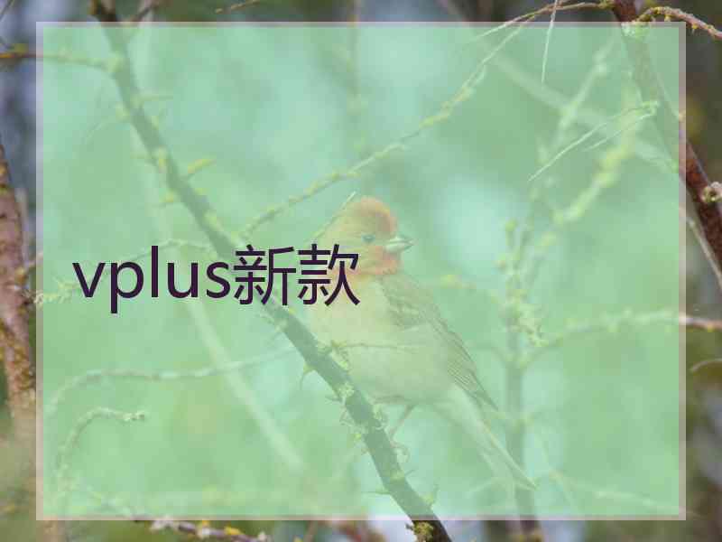 vplus新款