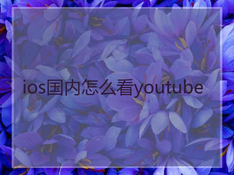 ios国内怎么看youtube