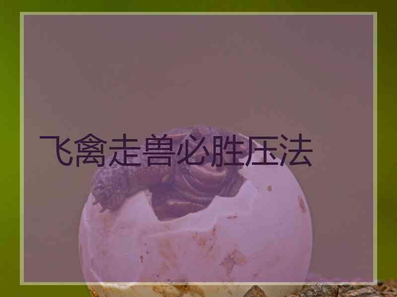 飞禽走兽必胜压法