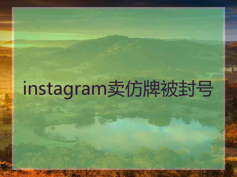 instagram卖仿牌被封号