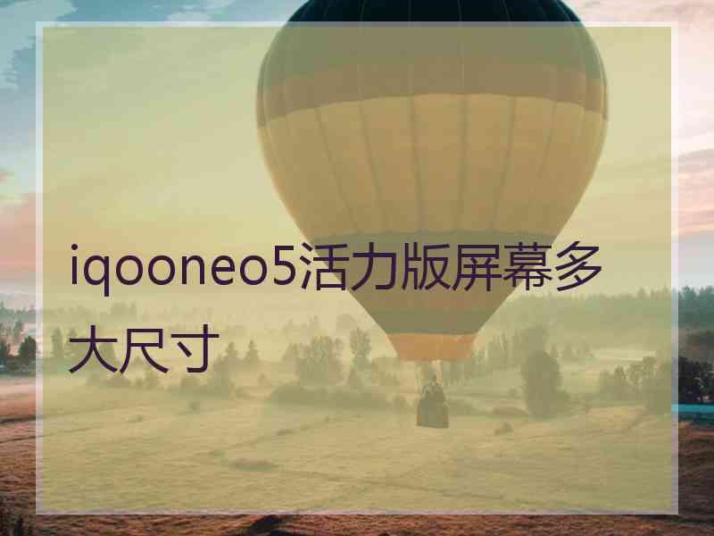 iqooneo5活力版屏幕多大尺寸