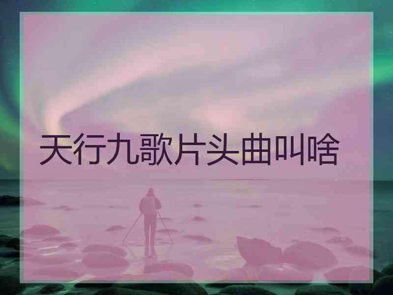 天行九歌片头曲叫啥