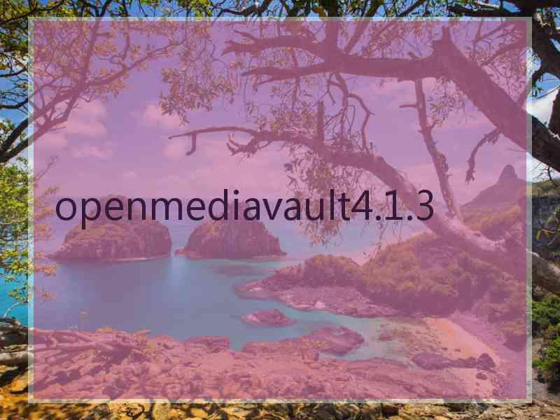 openmediavault4.1.3