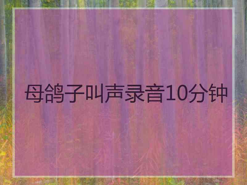 母鸽子叫声录音10分钟